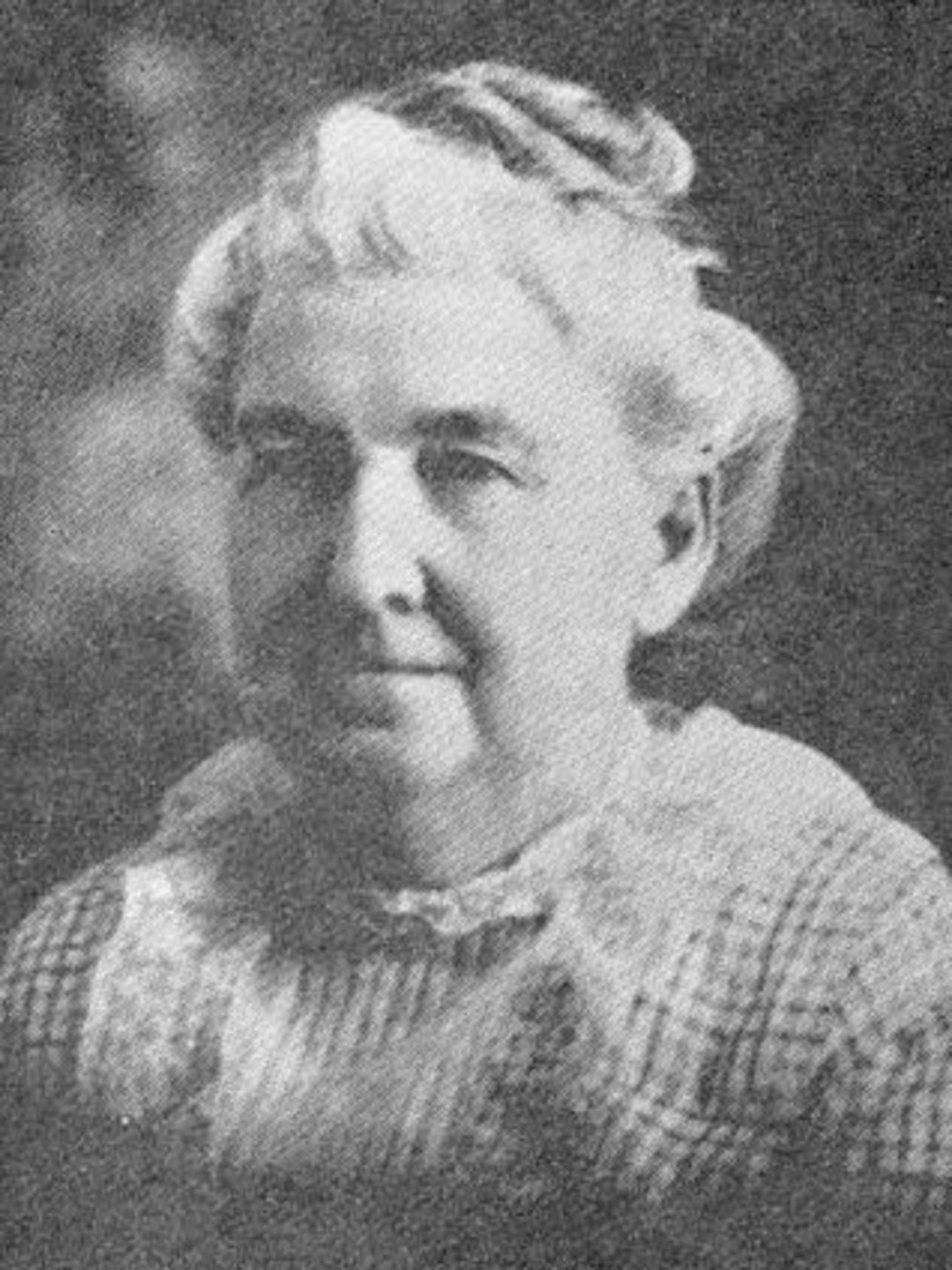 Euphemia Nibley (1855 - 1930) Profile
